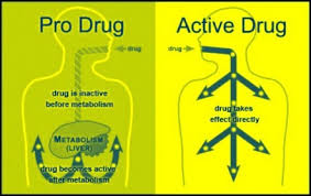 Is Vyvanse better than Ritalin