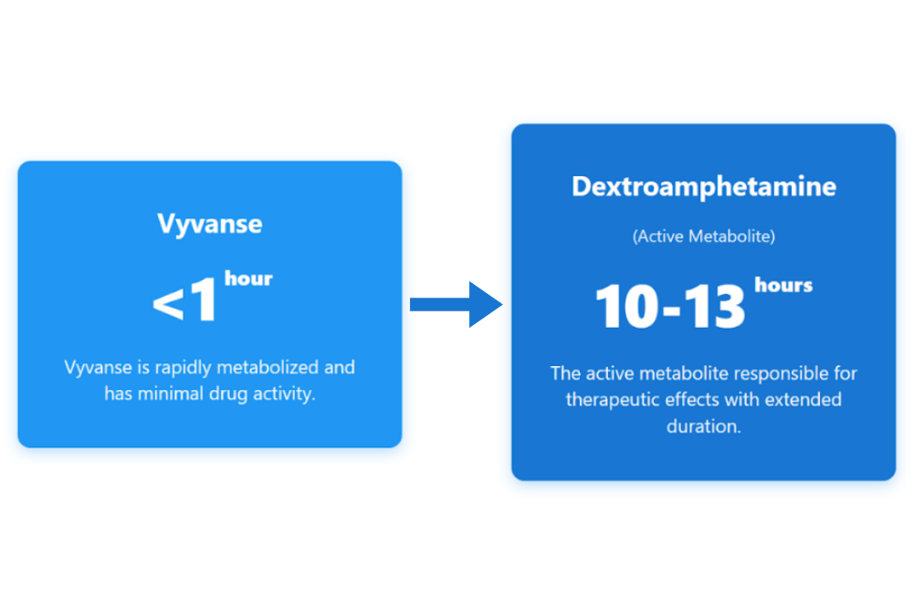 Does Vyvanse increase metabolism
